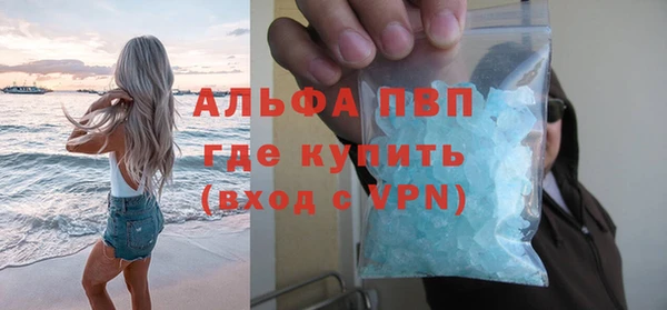 шишки Абаза