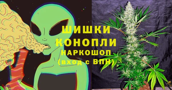 шишки Абаза