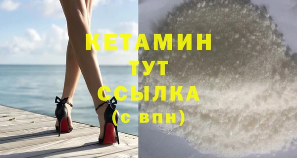 шишки Абаза