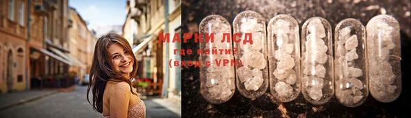 шишки Абаза