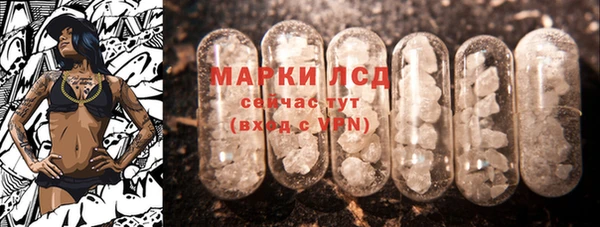шишки Абаза