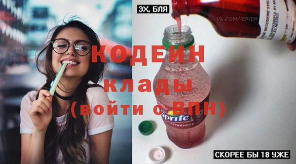 шишки Абаза