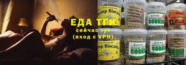 шишки Абаза