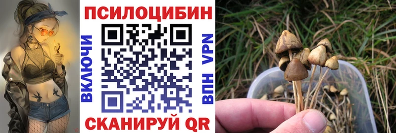 Псилоцибиновые грибы Psilocybe  Смоленск 