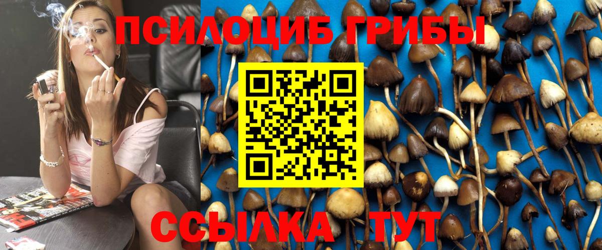 Псилоцибиновые грибы GOLDEN TEACHER  Псилоцибиновые грибы Psilocybe  Вход с VPN  Смоленск 