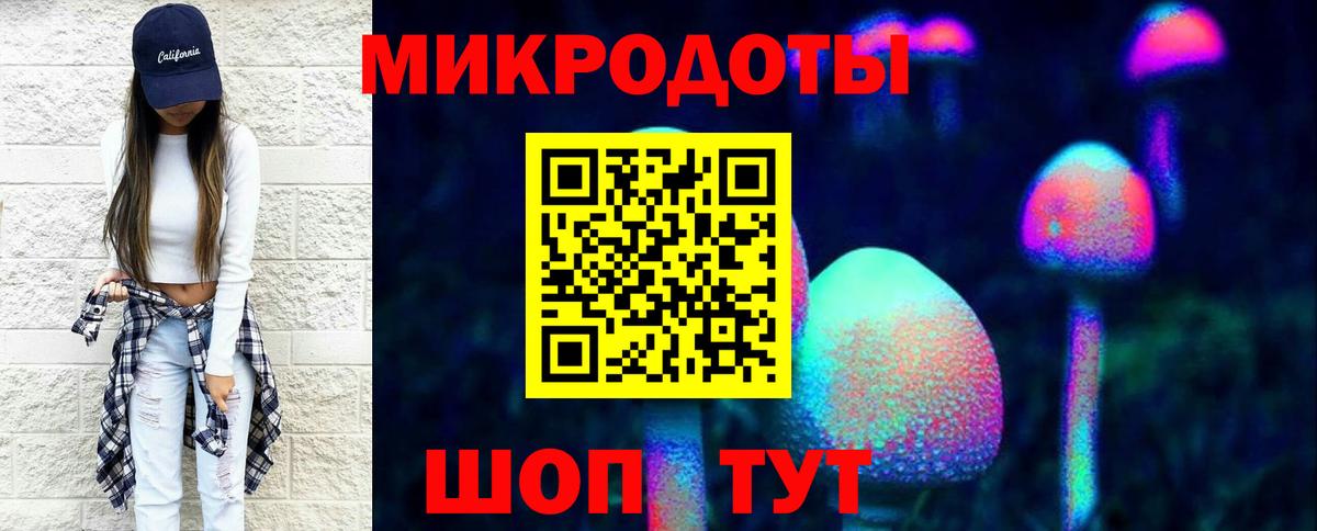 Псилоцибиновые грибы мицелий Смоленск