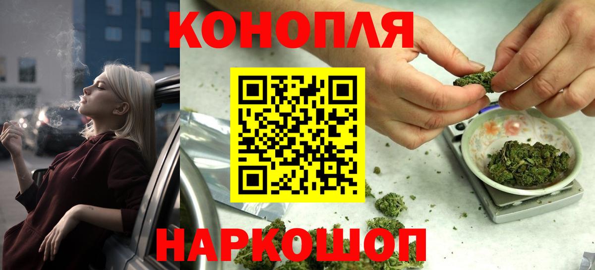Канабис сатива Смоленск